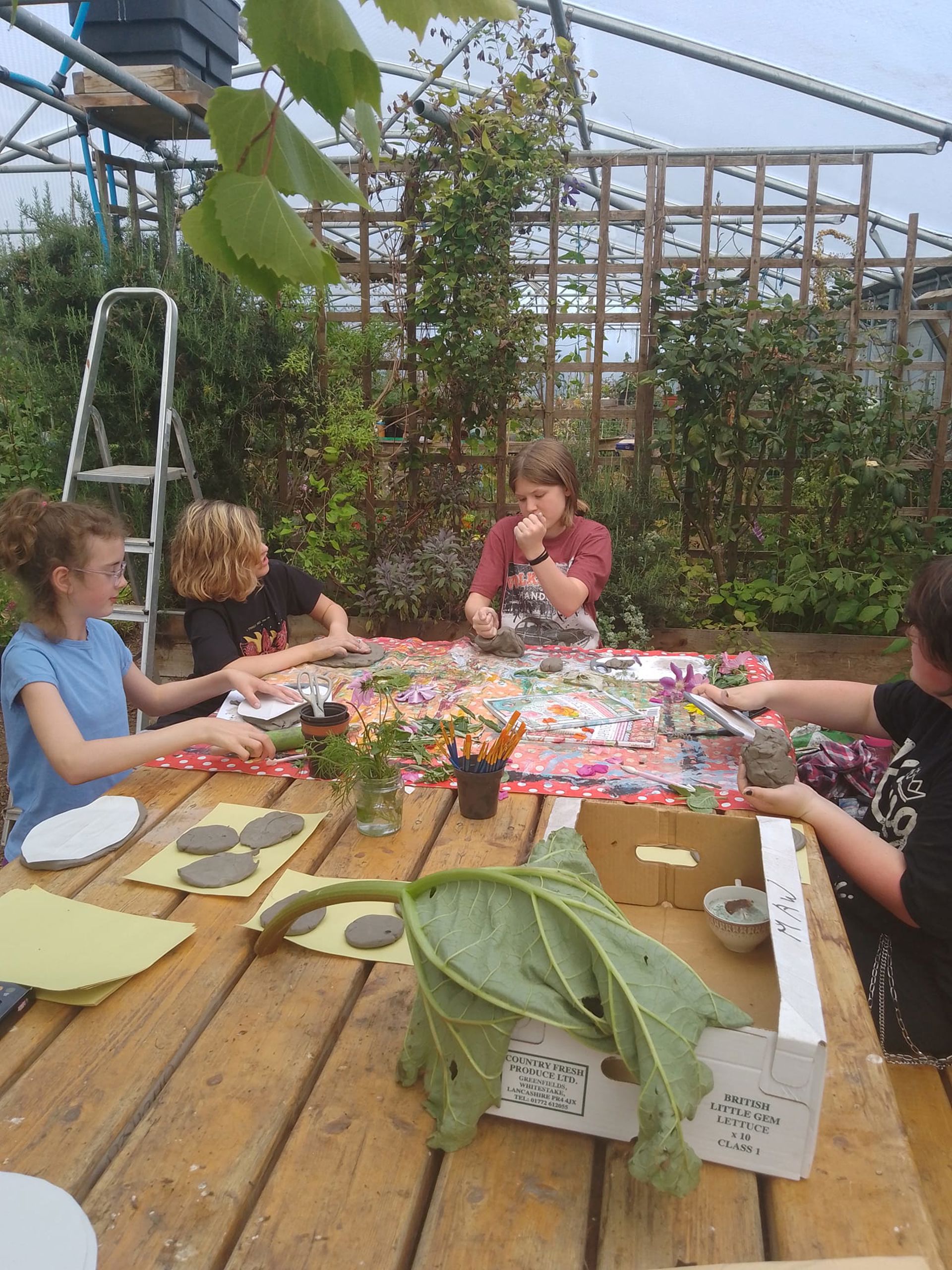 Stronsay Community Greenhouse 1