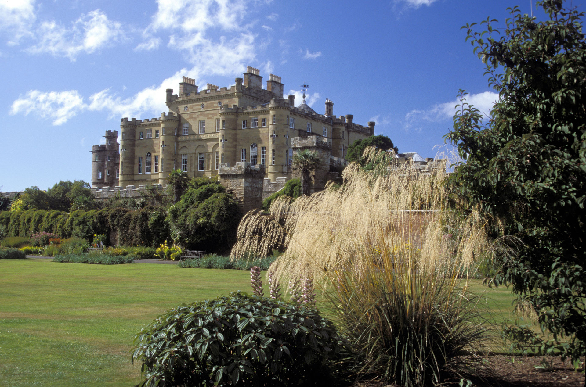 Culzean Castle & Pampas Grass AWP