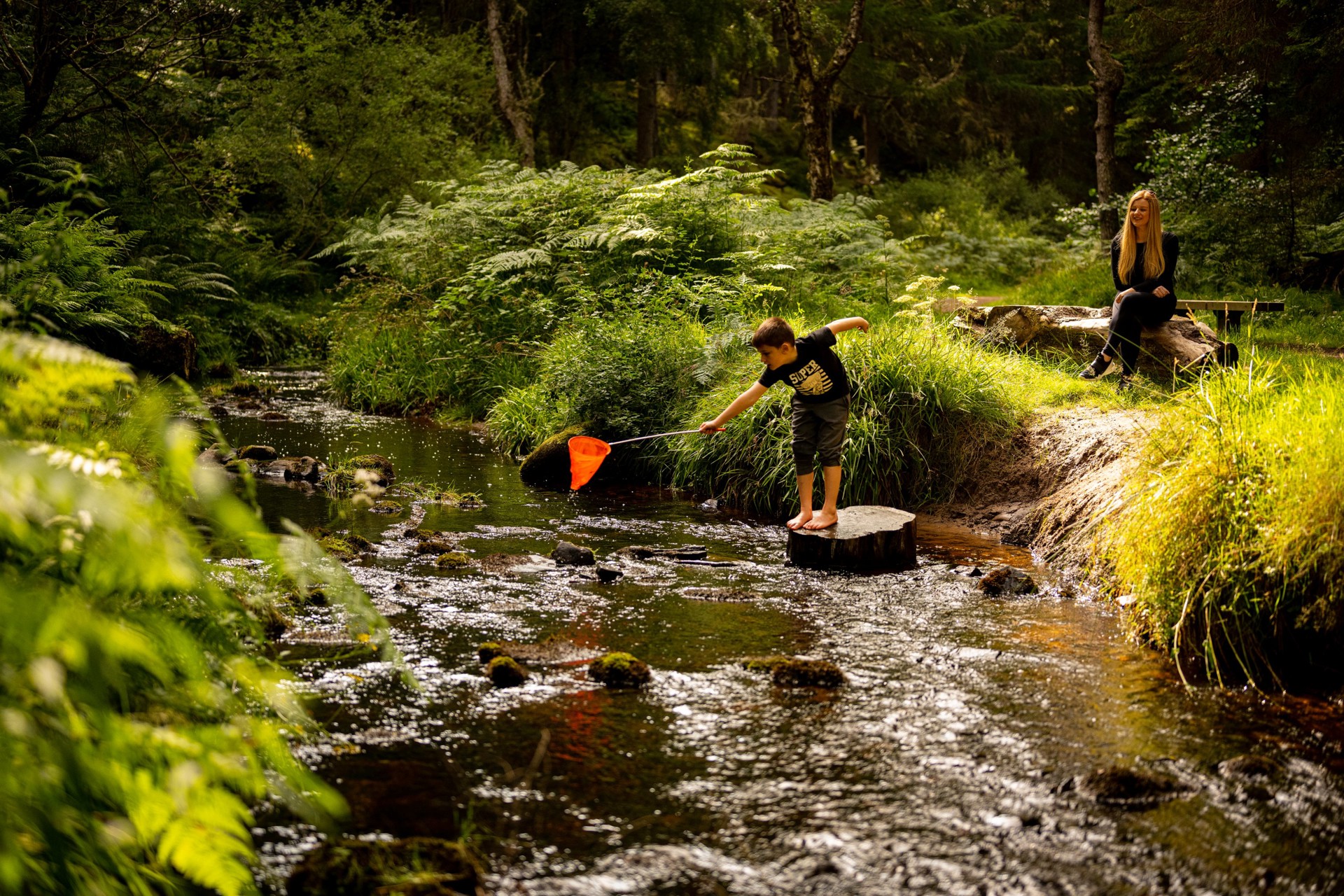 Background image - Aldie Burn Net